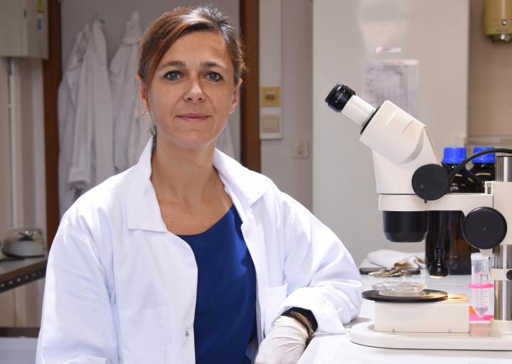 Karine Van Doninck